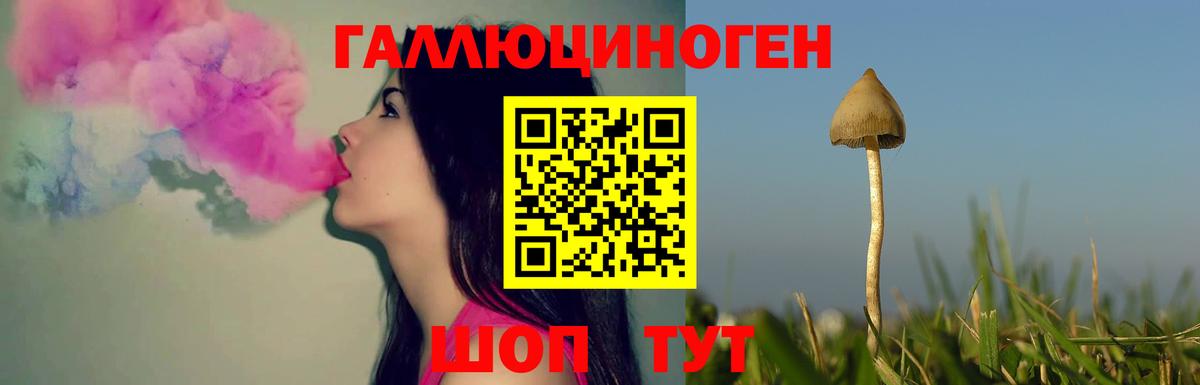 Псилоцибиновые грибы Magic Shrooms Клинцы